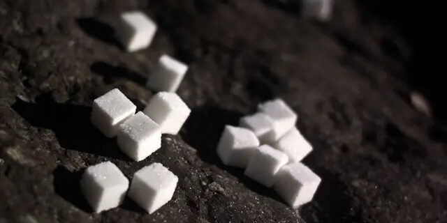 69c6c93c6e56a1a0406ff30f7fc41288